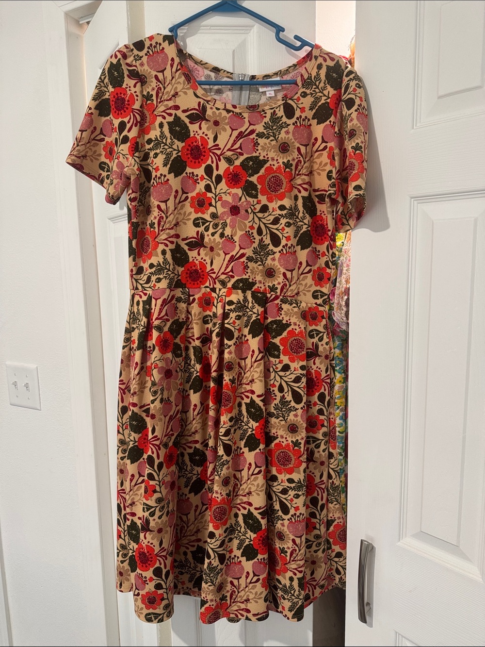 LuLaRoe Beige Dress with Red and Green Floral Print